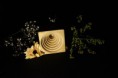 /album/fotogalerij-startpagina/a12201028-10203812114303493-99058079-n-jpg/