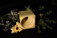 /album/fotogalerij-startpagina/a12202168-10203812114343494-1330212691-n-jpg/